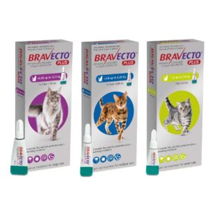 Bravecto Plus para gatos